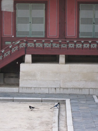 e0126594_954181.jpg