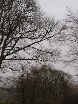 b0110999_21201942.jpg