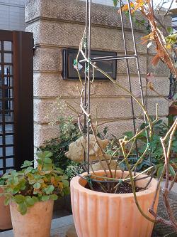 e0234004_20132830.jpg