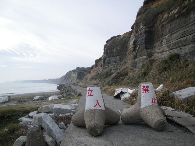 a0116205_19563593.jpg
