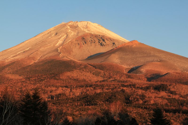 a0188405_17112015.jpg