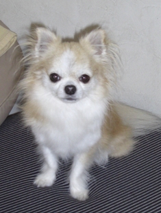 c0132205_22102999.jpg