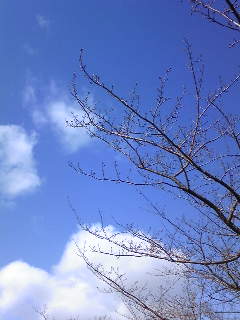 c0097806_1353922.jpg