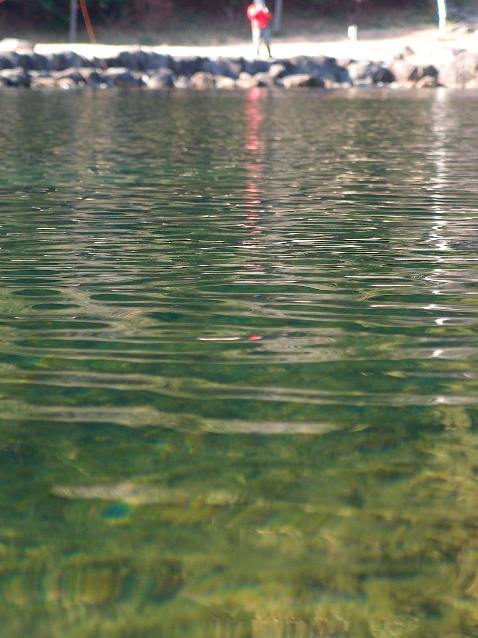 d0126708_833539.jpg
