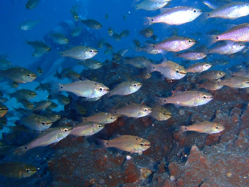f0126515_22453053.jpg