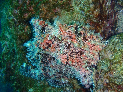 f0126515_2246442.jpg