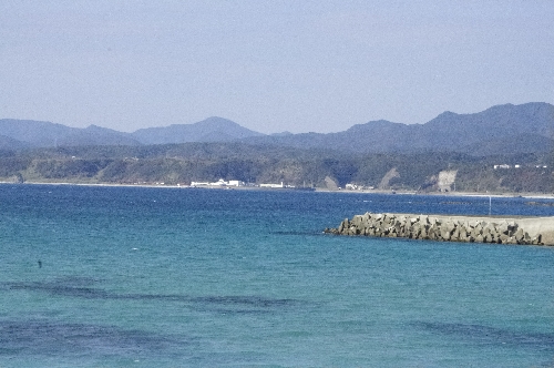 f0126515_2250420.jpg