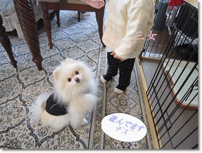 b0167519_170522.gif