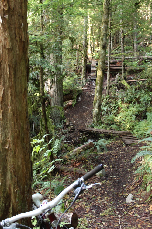 e0128129_922321.jpg