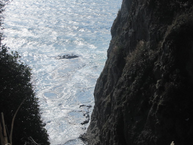 a0162635_15353245.jpg