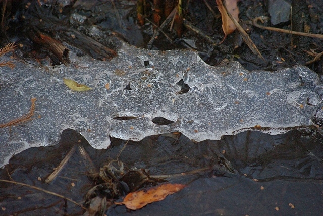 d0218238_22462718.jpg