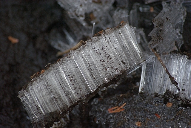 d0218238_2247252.jpg
