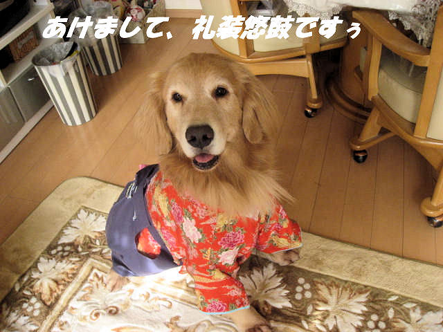 a0149240_13344429.jpg
