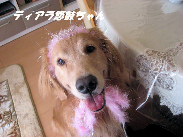 a0149240_13371213.jpg