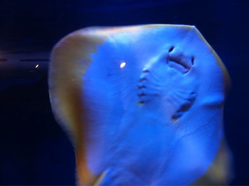 a0023043_238176.jpg