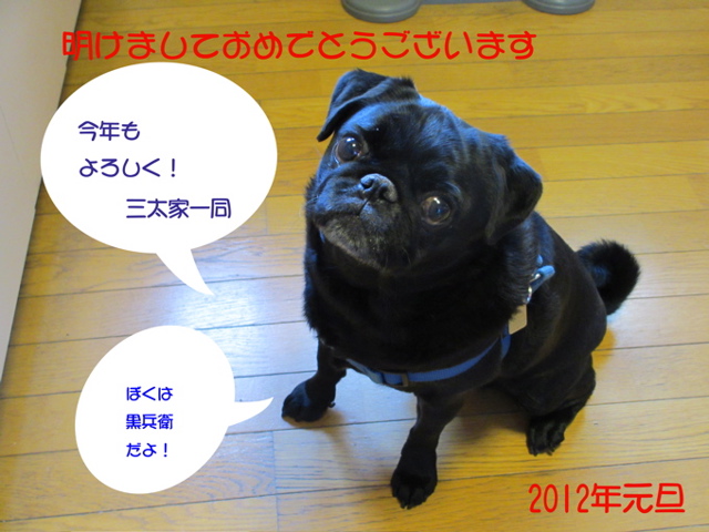 a0051443_030335.jpg