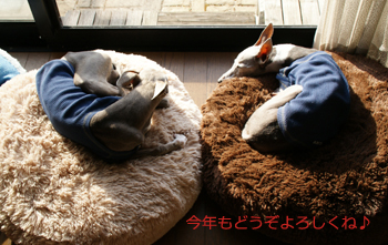 c0087047_2139364.jpg