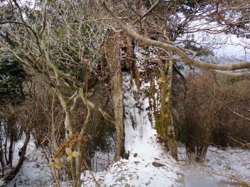 c0179351_2219125.jpg