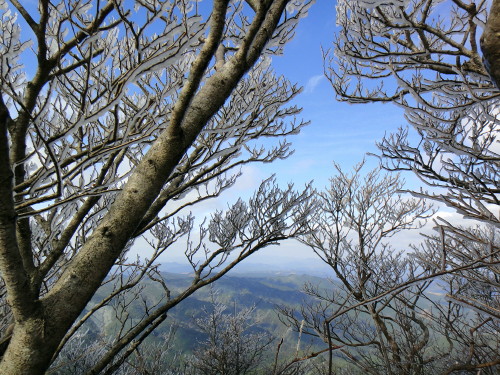 c0179351_22212574.jpg