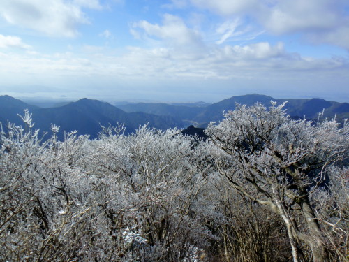 c0179351_22221672.jpg