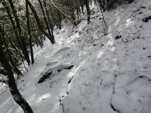 c0179351_22315398.jpg