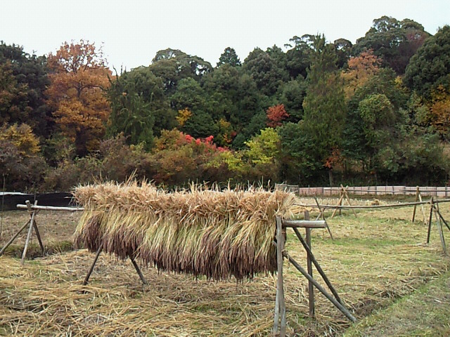 b0139862_14204899.jpg