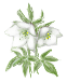f0131263_2310189.gif