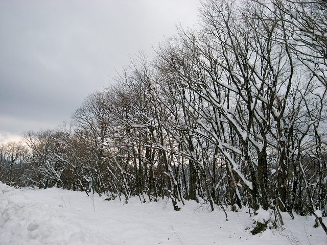 d0128465_9354496.jpg