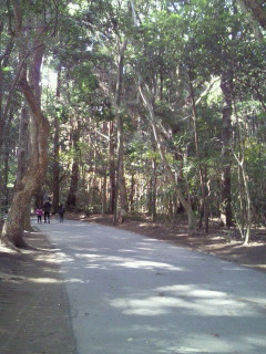 d0161575_1617611.jpg