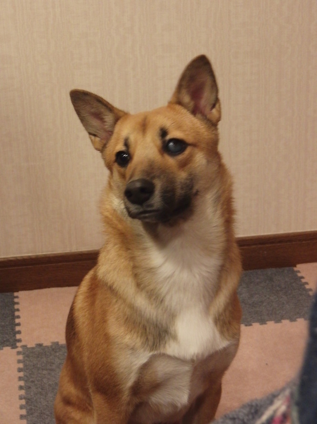 b0246876_018090.jpg