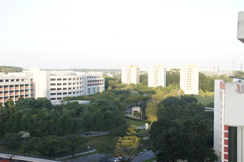 a0002177_10103161.jpg