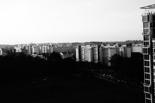 a0002177_1074275.jpg