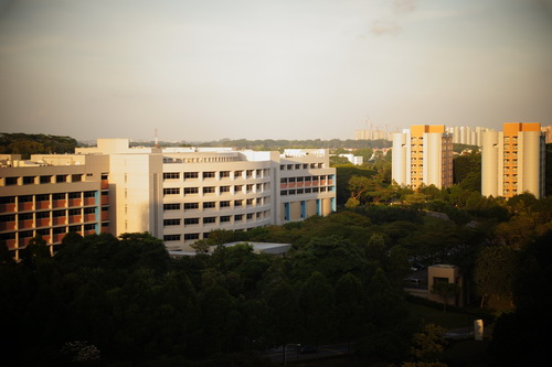 a0002177_1083088.jpg
