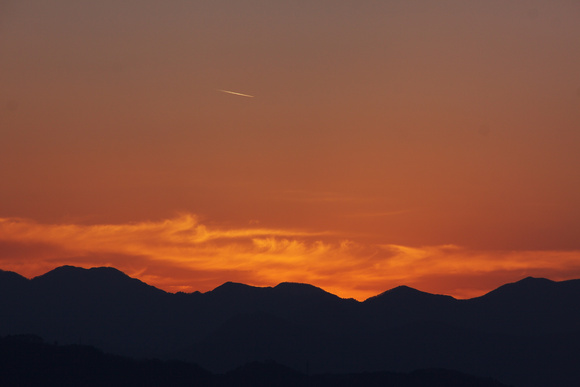 b0083779_8415960.jpg
