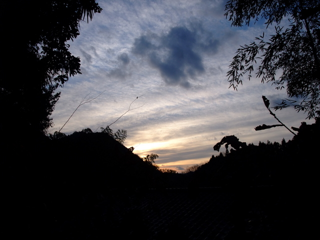 a0043982_20153728.jpg