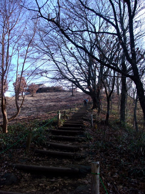 a0043982_2150516.jpg
