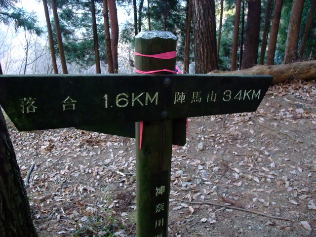 a0043982_2151582.jpg