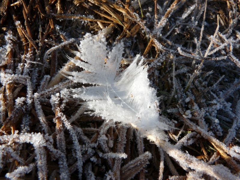 e0202393_7225378.jpg