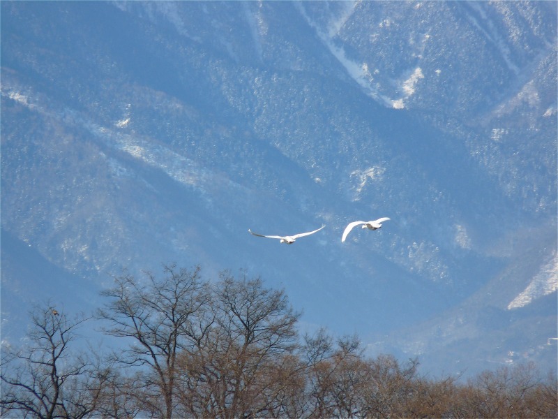 e0202393_7275316.jpg