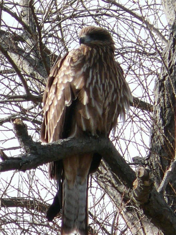 e0202393_7504534.jpg