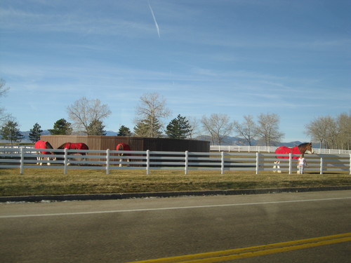 b0234096_64415.jpg
