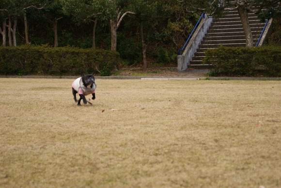 d0164100_0474928.jpg