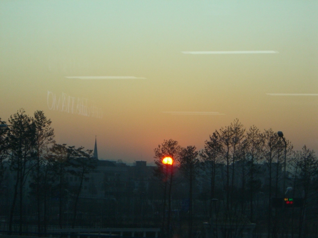 a0088007_138966.jpg