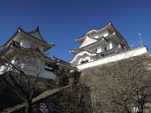 c0149408_17545016.jpg