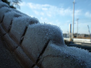 c0190010_21334034.jpg