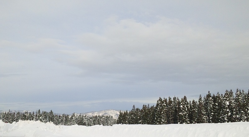 b0199924_1575721.jpg