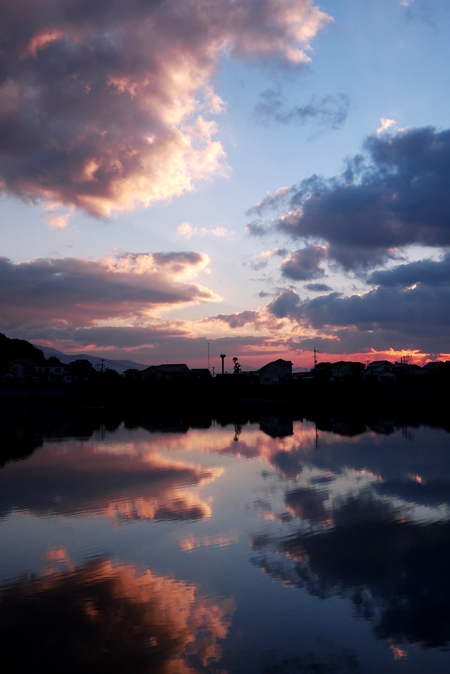 e0200926_758378.jpg