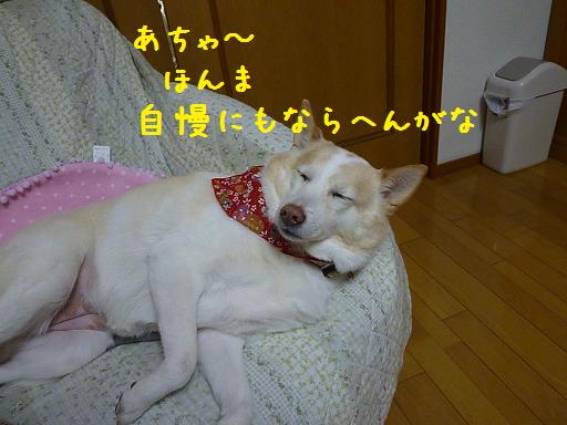 b0138430_1301591.jpg