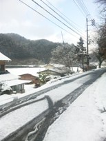 d0155434_21112194.jpg