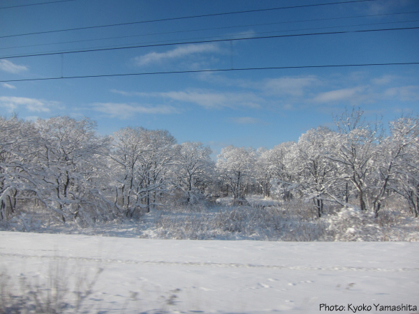 b0006537_21024100.jpg